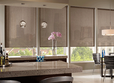 Roller Shades by Wise Windows