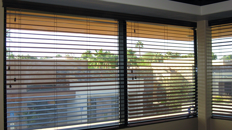 Horizontal Blinds from Wise Windows