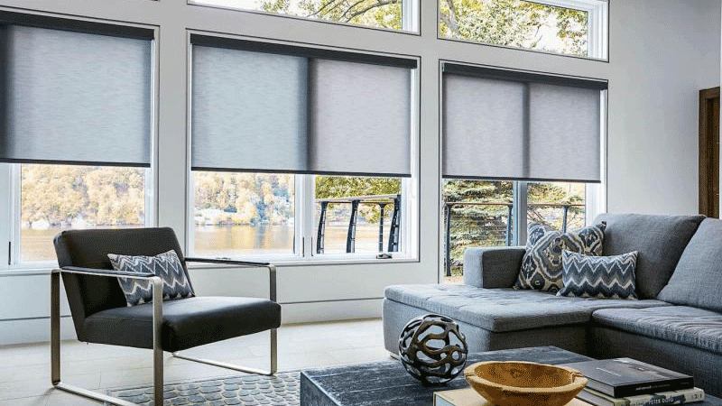 Roller Shades by Wise Windows